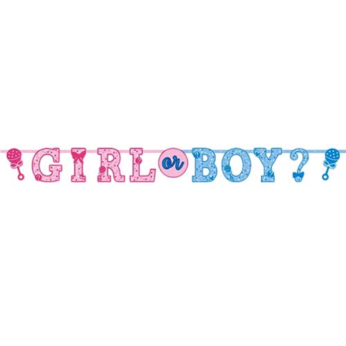 Girl or Boy Jumbo Letter Banner Kit