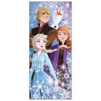 Disney Frozen 2 Door Poster 1pc