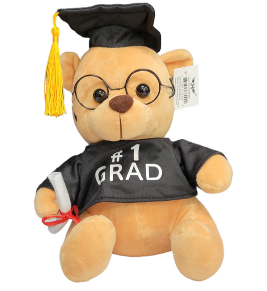 #1 Grad Small 9in Teddy Bear