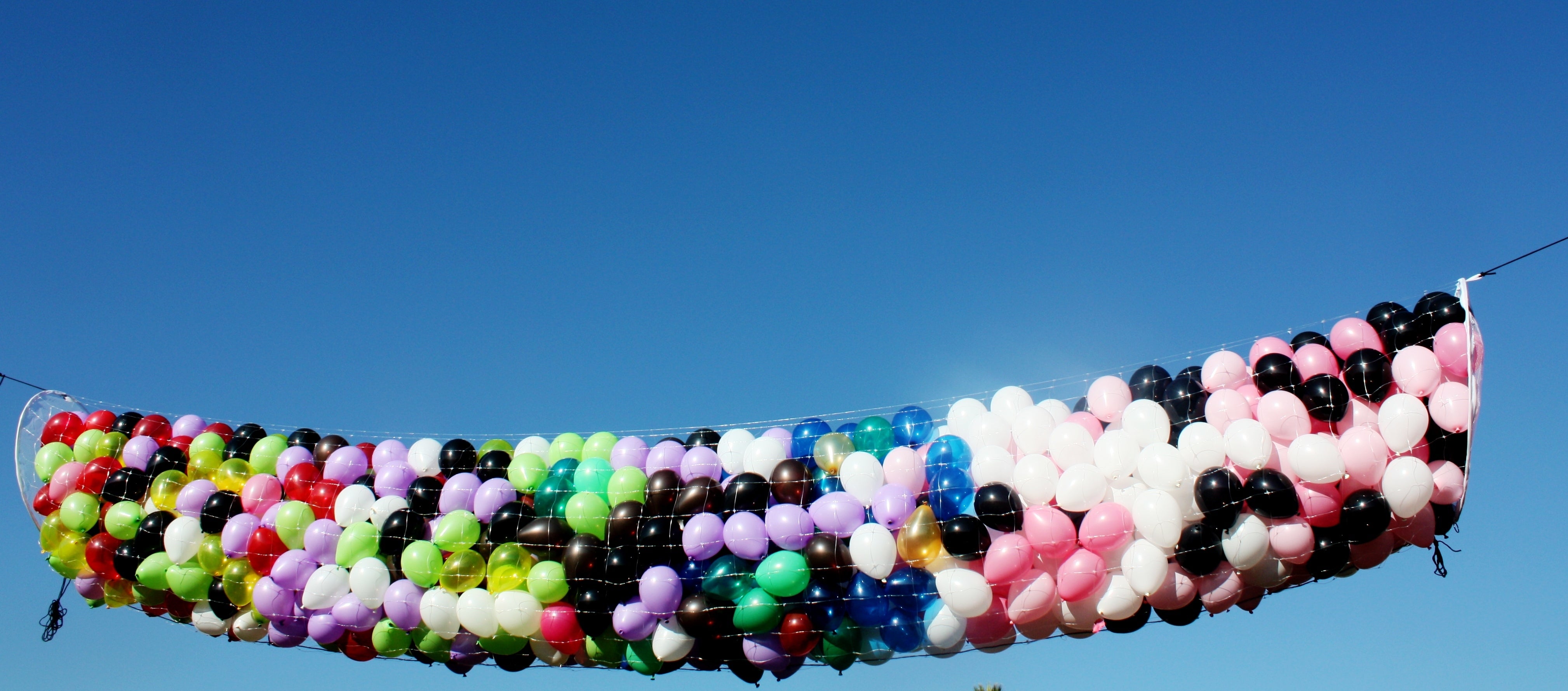 Baby BOSS 250 Balloon Drop Net – Winner Party